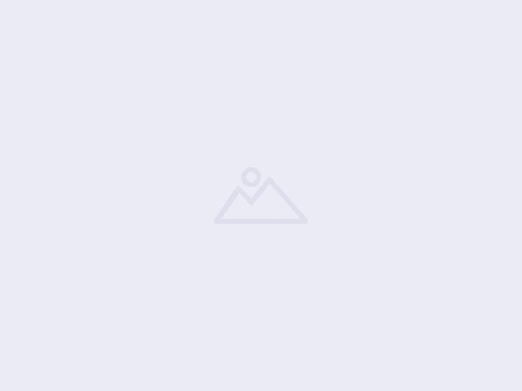 Featured Image for Roofing Post