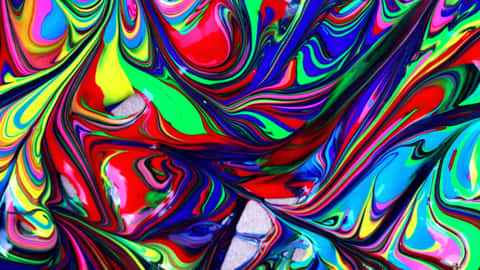 Featured Image for Grape