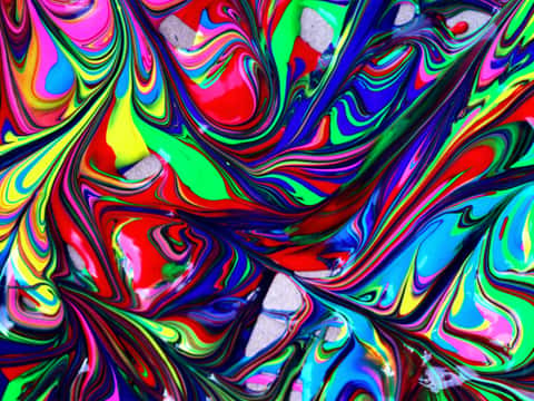 Featured Image for Grape